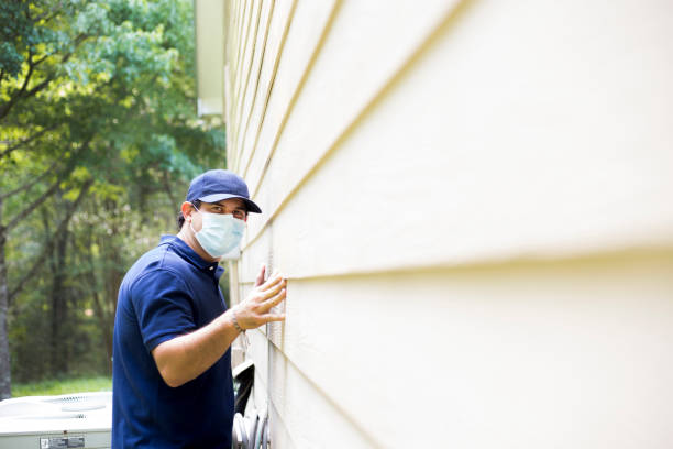 Best Custom Siding Design  in Berrien Springs, MI